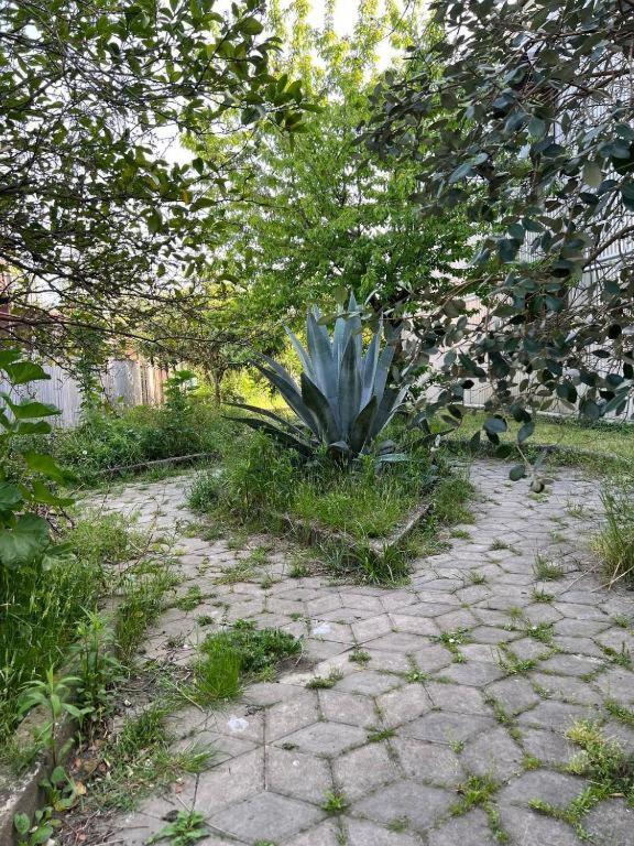 Hotel G I O Samtredia Екстериор снимка